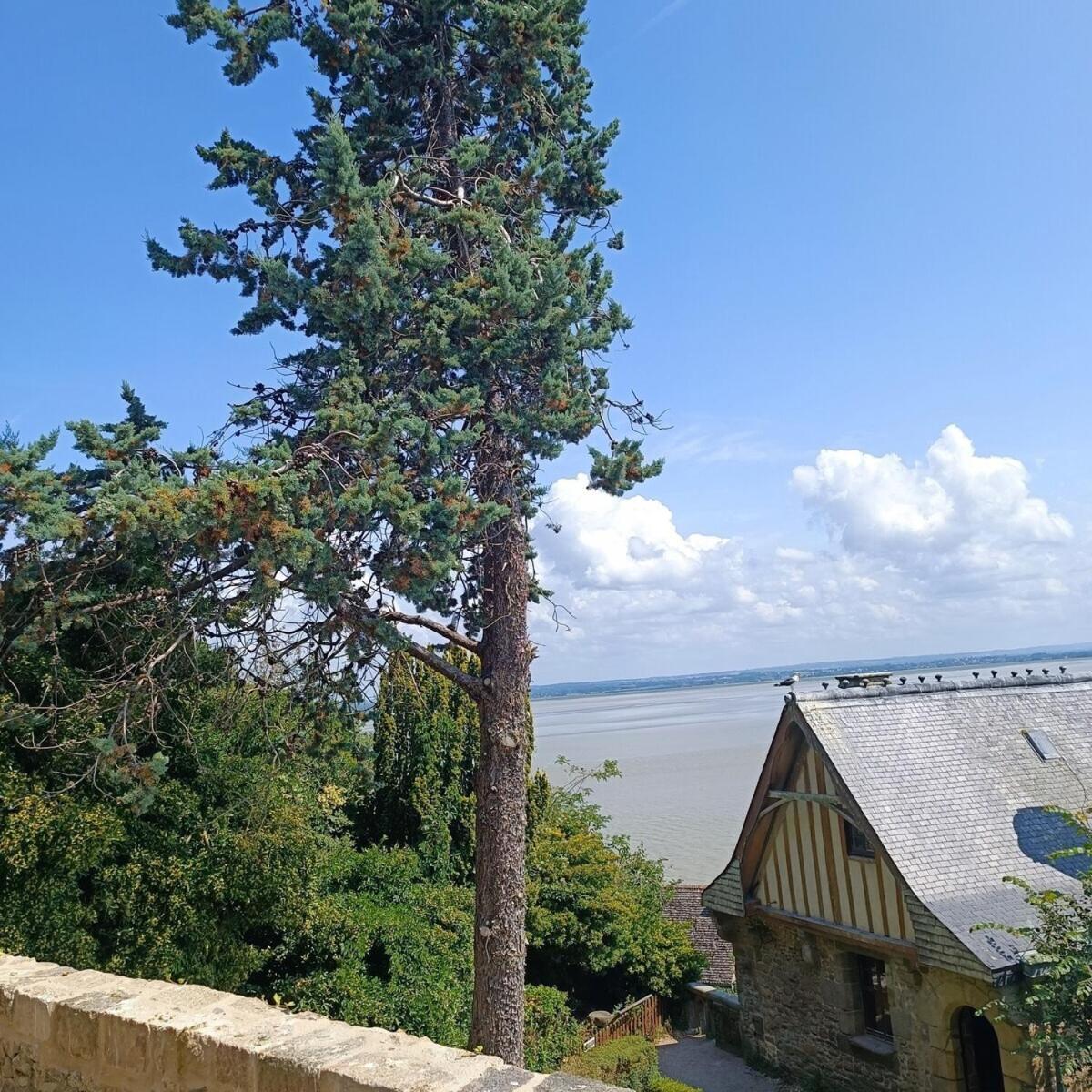 Chez Adele Villa Mont-Saint-Michel ภายนอก รูปภาพ